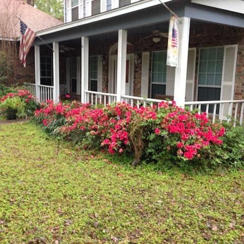 entrance to property with covered porch