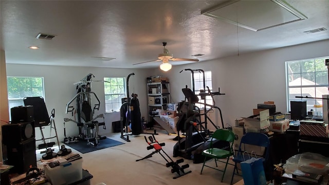 exercise area featuring a healthy amount of sunlight and ceiling fan