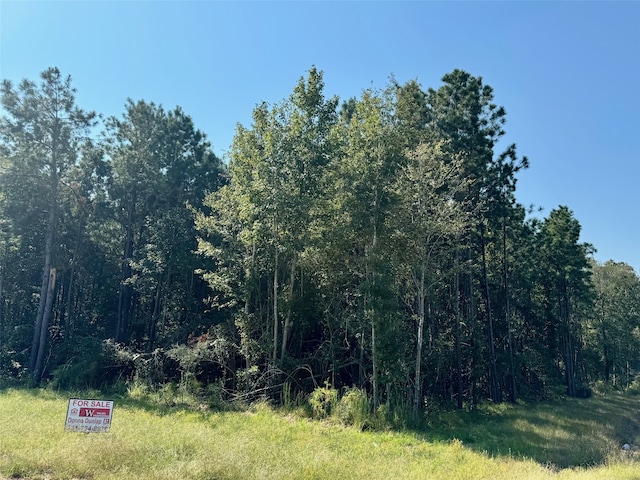 Listing photo 2 for LOT7 Stonebrook Dr, Livingston TX 77351