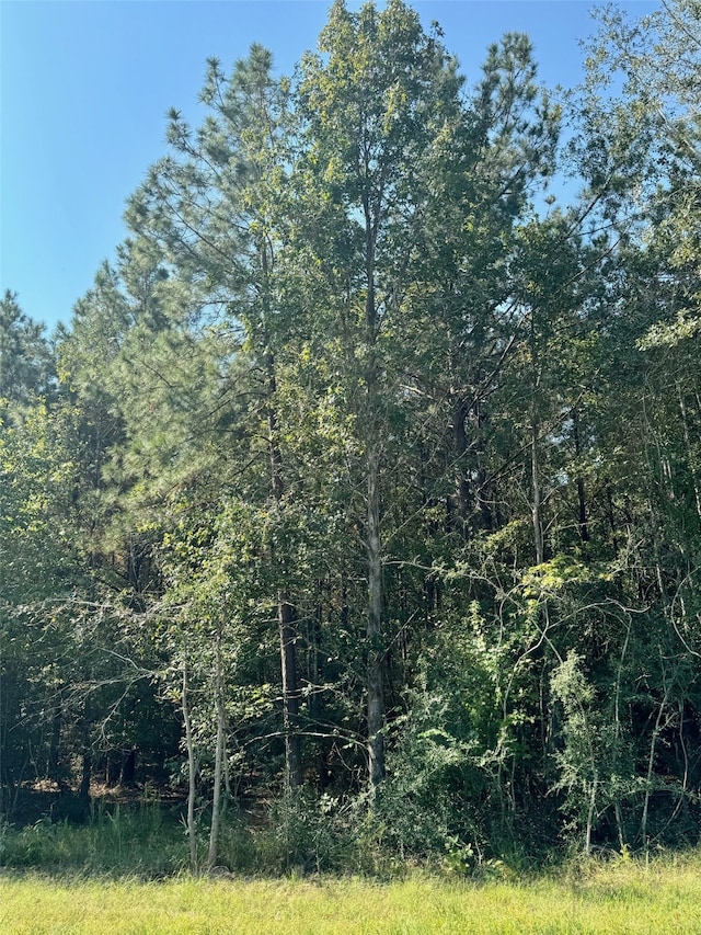 Listing photo 3 for LOT7 Stonebrook Dr, Livingston TX 77351