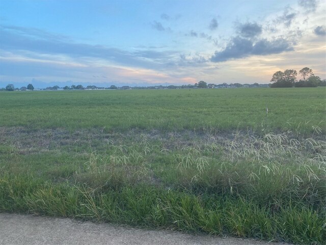 607 Longhorn Trl, Angleton, TX 77515 - photo 6