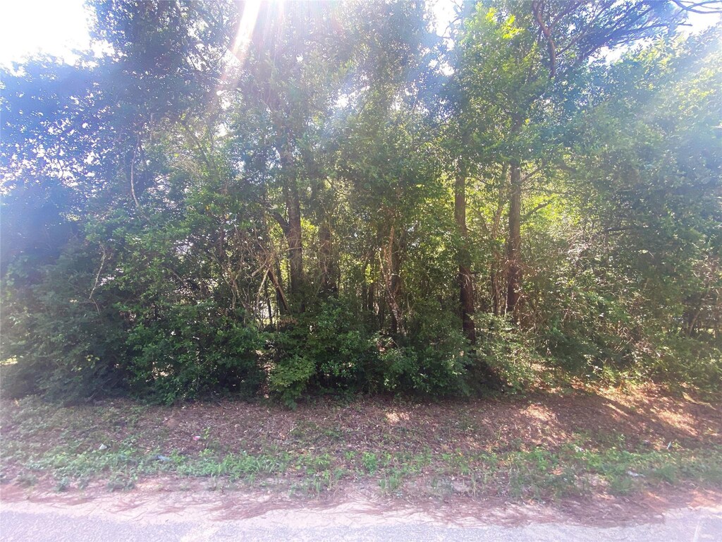 TBD Highway 146, Cleveland, TX 77327
