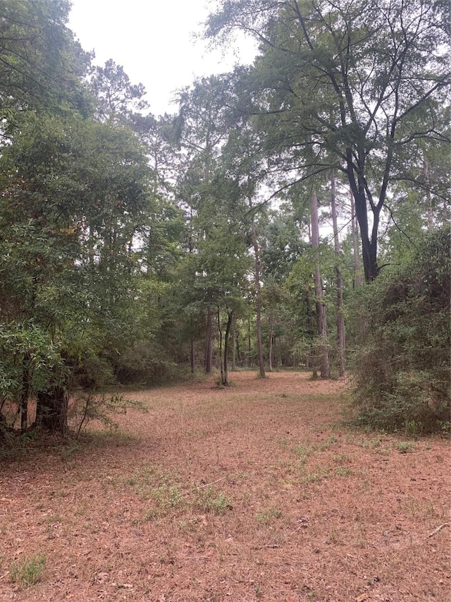 TBD Oak Pine Dr, Livingston TX, 77351 land for sale