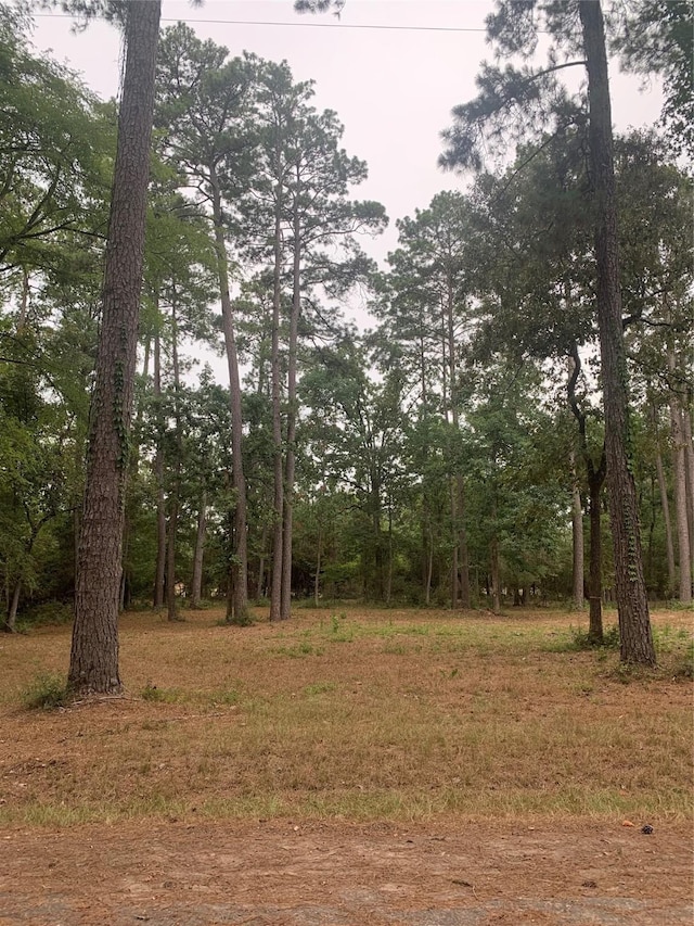 Listing photo 2 for TBD Oak Pine Dr, Livingston TX 77351