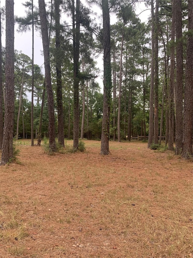 Listing photo 3 for TBD Oak Pine Dr, Livingston TX 77351