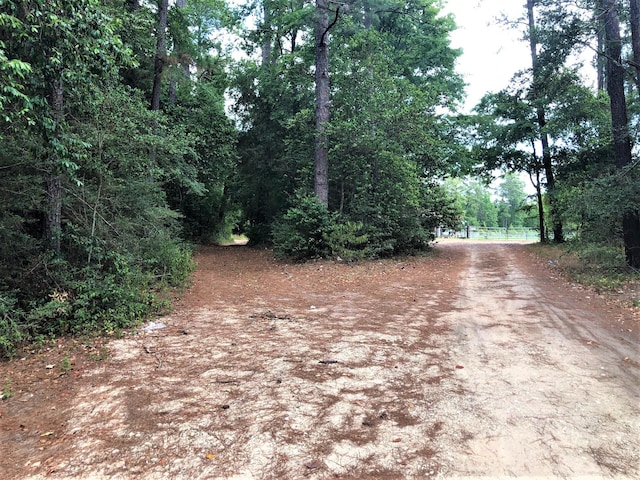 Listing photo 3 for TBD Perry Dr, Coldspring TX 77331