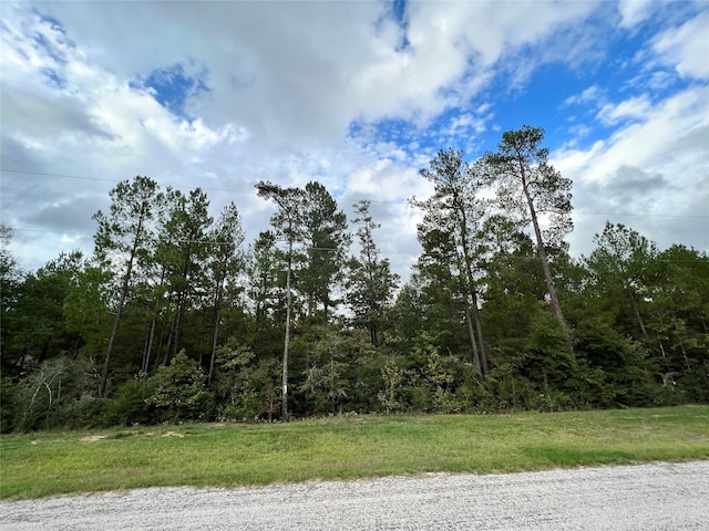 Listing photo 2 for 0 Hereford Trl, Huntsville TX 77340