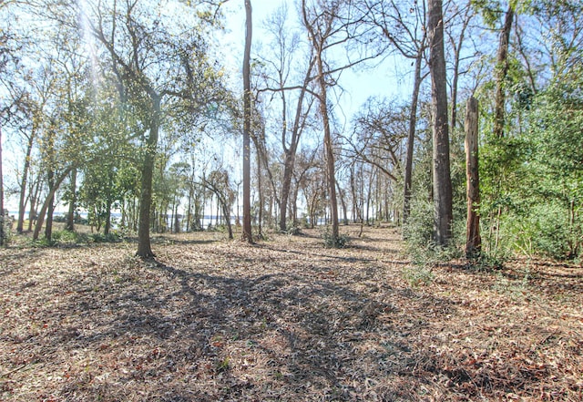 000 Fm 356 N, Trinity, TX 75862 - photo 7