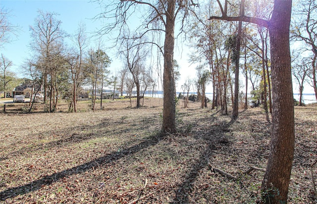 000 Fm 356 N, Trinity, TX 75862 - photo 11