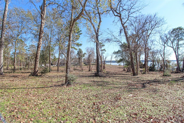 000 Fm 356 N, Trinity, TX 75862 - photo 12