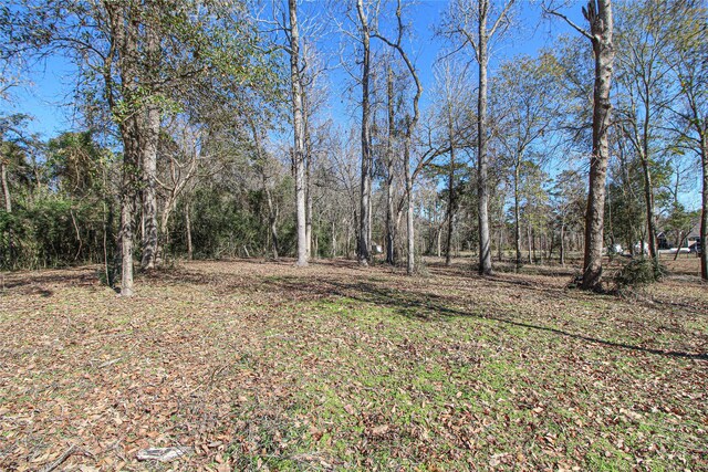 000 Fm 356 N, Trinity, TX 75862 - photo 13
