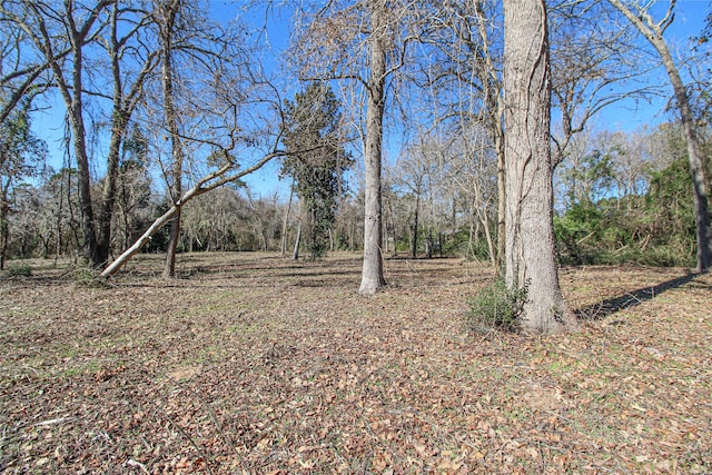 000 Fm 356 N, Trinity, TX 75862 - photo 14