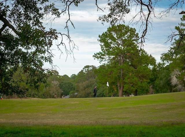 view of nearby features with a yard