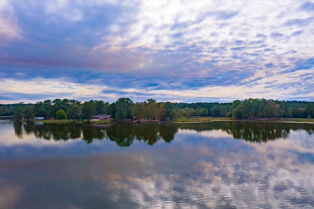 view of water feature