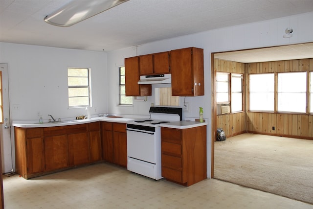 kitchen with light carpet, sink, and white electric stove