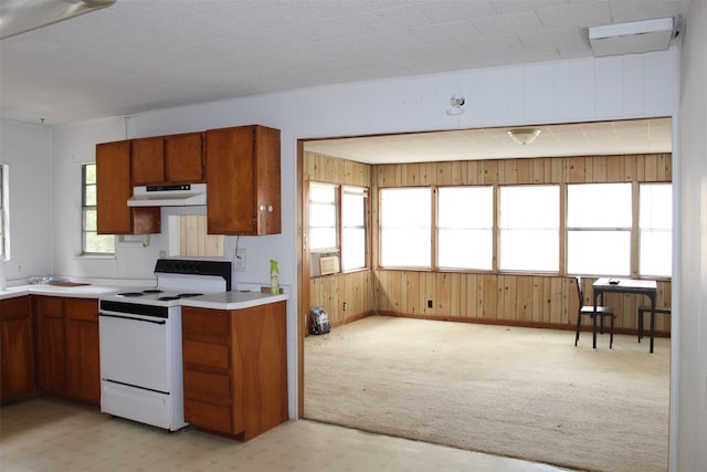 kitchen with light colored carpet, a healthy amount of sunlight, and white electric stove