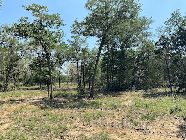 TBD High Crossing Rd Unit 7, Smithville TX, 78957 land for sale