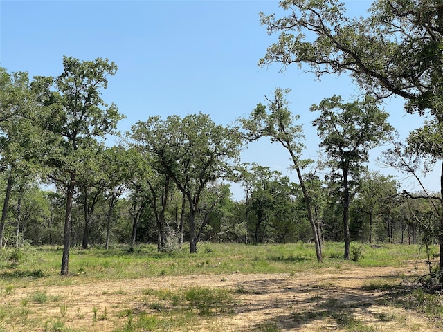 Listing photo 2 for TBD High Crossing Rd Unit 7, Smithville TX 78957