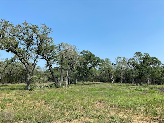 Listing photo 3 for TBD High Crossing Rd Unit 7, Smithville TX 78957