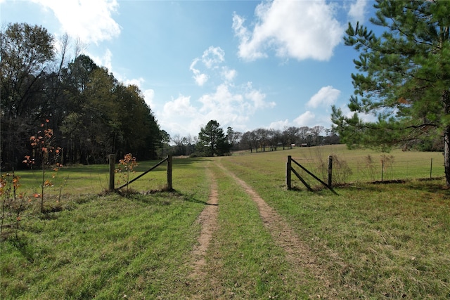 Listing photo 2 for TBD County Rd 1585, Grapeland TX 75844