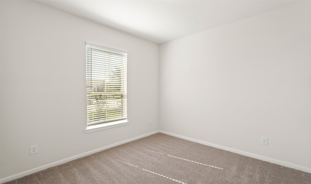 6331 Feverfew Trl, Crosby, TX 77532 - photo 34
