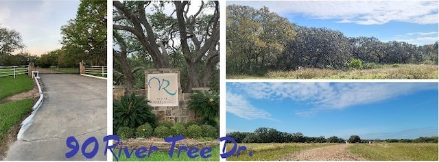 90 River Tree Dr, Blessing TX, 77419 land for sale