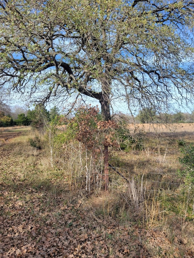 1 Navarro Ln, Grapeland, TX 75835