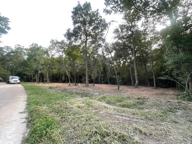 1738 Woodway Dr, Woodbranch TX, 77357 land for sale