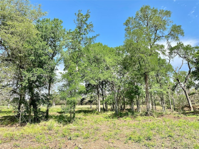 1365 Fm 2104, Smithville TX, 78957 land for sale