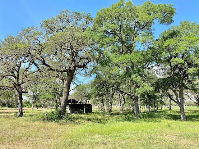 Listing photo 2 for 1365 Fm 2104, Smithville TX 78957