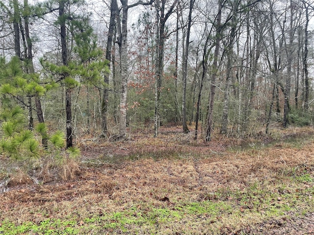 0 Southland, Livingston TX, 77351 land for sale