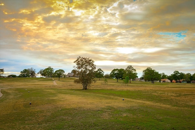 view of yard at dusk