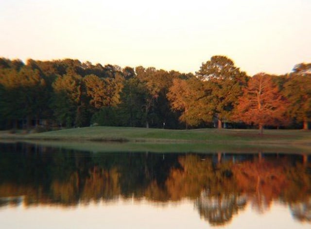 view of property view of water