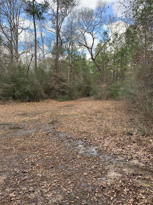 257 Rajak Rd, Cleveland TX, 77328 land for sale