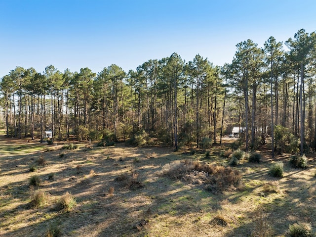 Listing photo 2 for TBD Grand Pine Cir, Livingston TX 77351