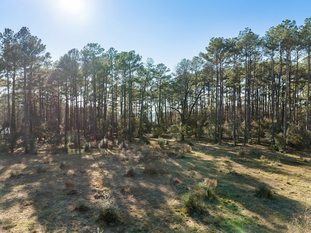 Listing photo 3 for TBD Grand Pine Cir, Livingston TX 77351