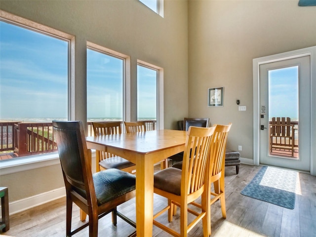 dining room with a wealth of natural light, light hardwood / wood-style floors, and a towering ceiling