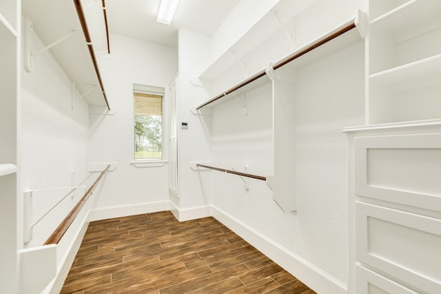 walk in closet featuring dark wood-type flooring