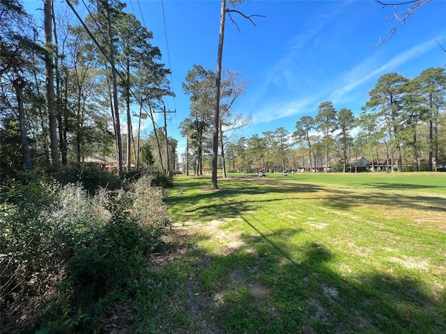 Listing photo 3 for 0 League Line Rd, Conroe TX 77304