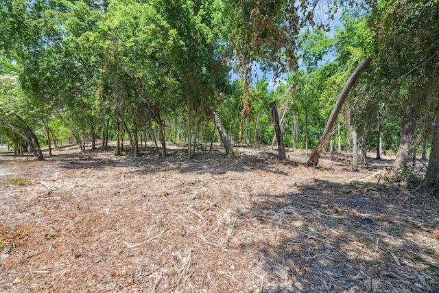 0 W T C Jester Blvd, Houston, TX 77091 - photo 3
