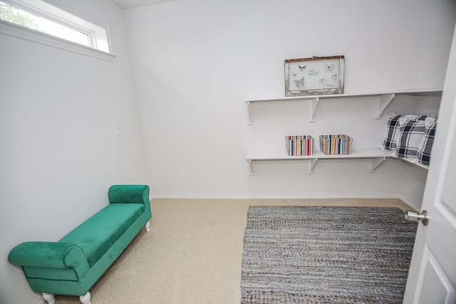 sitting room with light colored carpet