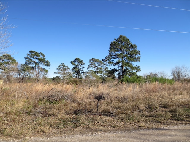 Listing photo 2 for 0 Brodt Rd, Crosby TX 77532