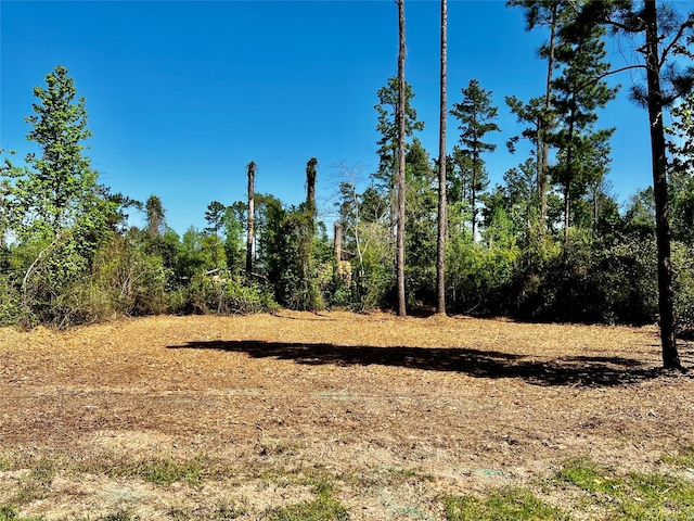 171 Brahman, Onalaska TX, 77360 land for sale