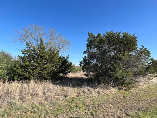 22292 Westmeadow Dr, Whitney, TX 76692 - photo 5