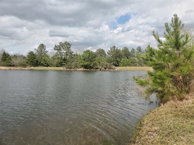 LOT33 Owl Dr, Hempstead TX, 77445 land for sale