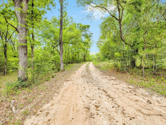 TBD Angus Ranch Rd, Huntsville TX, 77320 land for sale