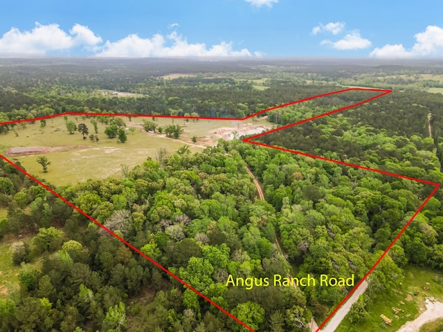 Listing photo 3 for TBD Angus Ranch Rd, Huntsville TX 77320