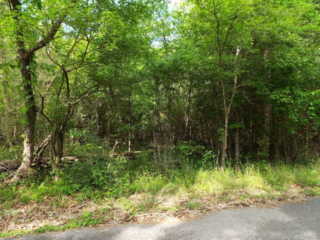 Listing photo 2 for LOT34 Dogwood Rd, Huntsville TX 77320