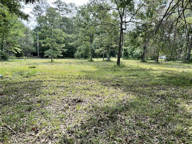 32 E Lake Rd, Huntsville TX, 77320 land for sale