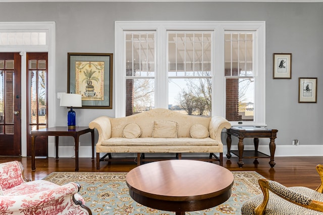 living room featuring dark wood-type flooring